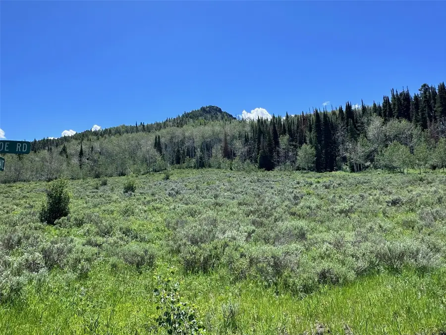 23910 Arapahoe Road, Oak Creek, CO 80467 - #2