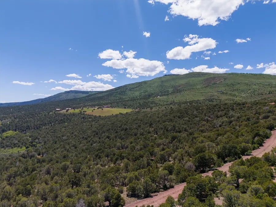 2435--2945 Co-131, McCoy, CO 80479 - #3