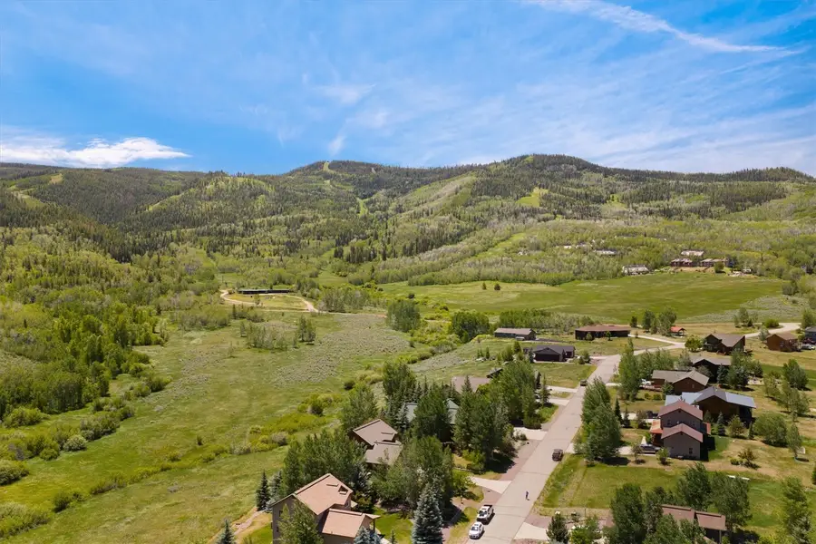 30390 Coyote Run Court, Oak Creek, CO 80467 - #2