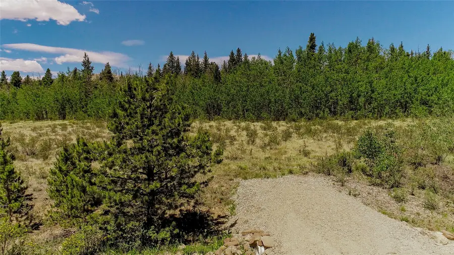 515 Wild Rye Road, Fairplay, CO 80440 - #2