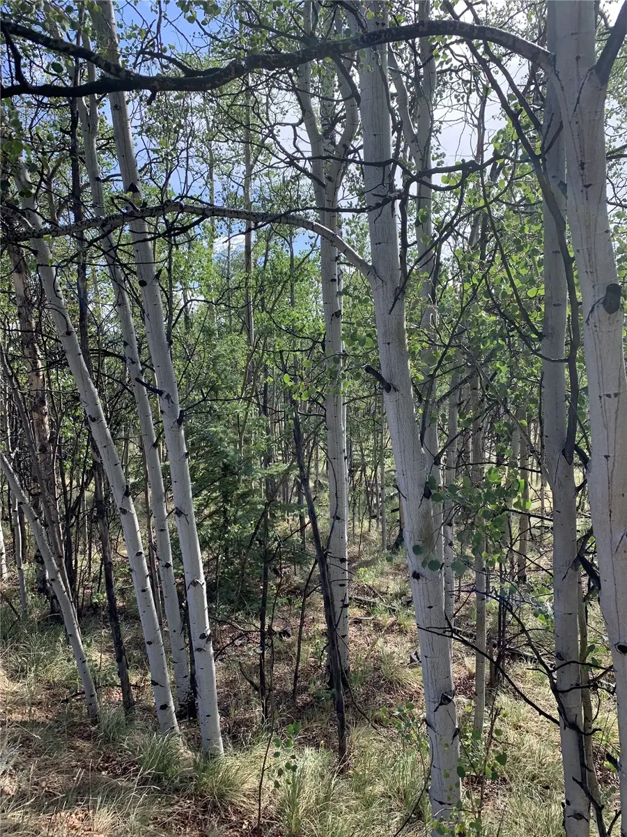 540 Vulture Lane, Como, CO 80432 - #2