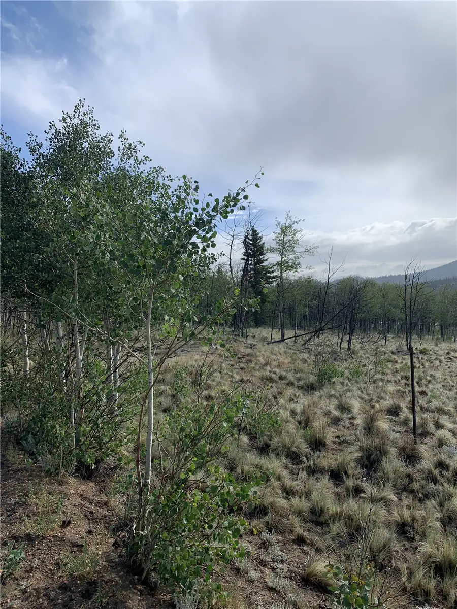 540 Vulture Lane, Como, CO 80432 - #3