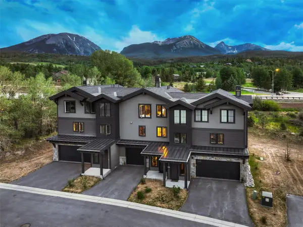 52 Fish Hawk Way #11, Silverthorne, CO 80498