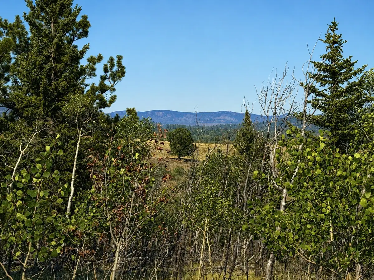 250 Pinto Trail, Como, CO 80432 - #1