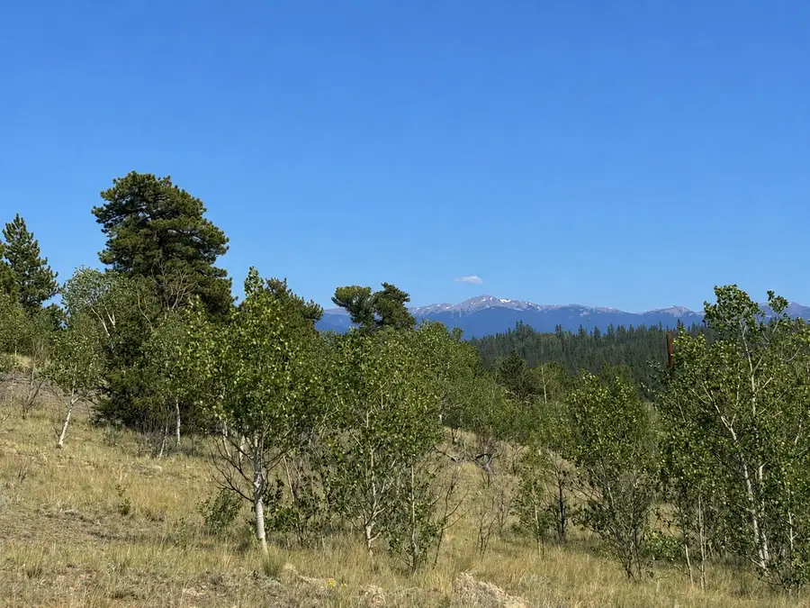 250 Pinto Trail, Como, CO 80432 - #2