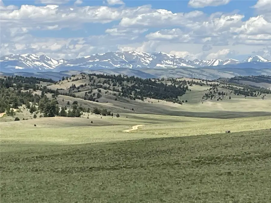 853 La Plata Drive, Hartsel, CO 80449 - #2