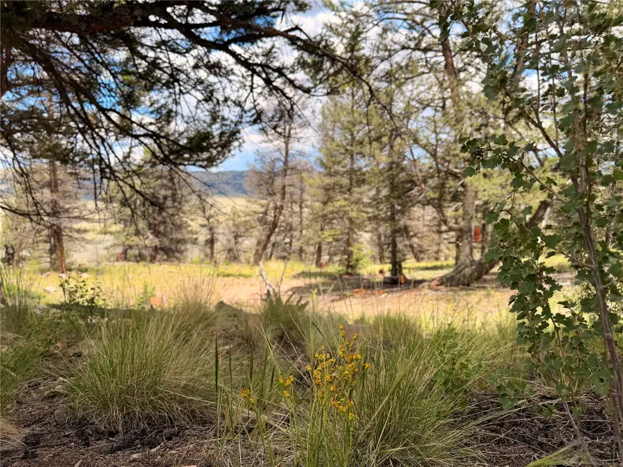 1348 Middle Fork, Fairplay, CO 80440 - #2