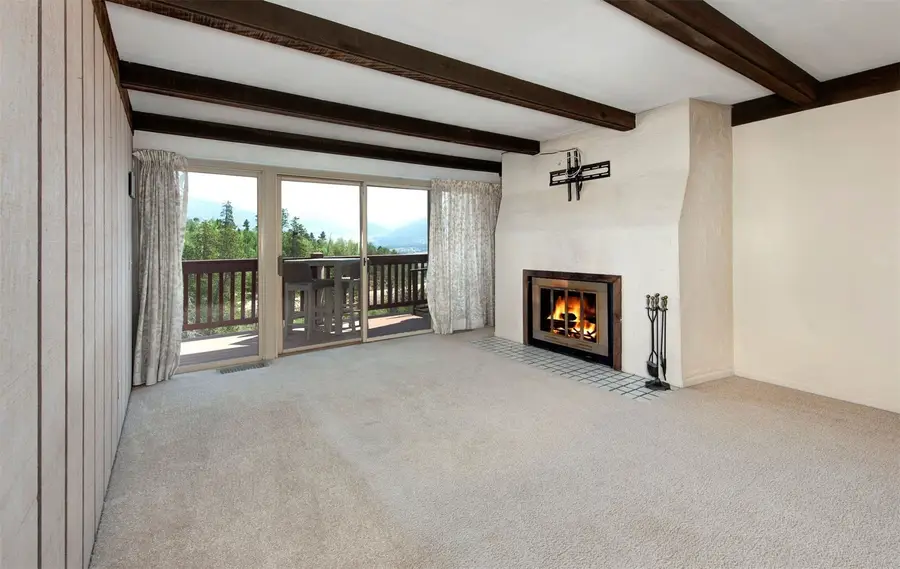 21 Buffalo Drive #226, Silverthorne, CO 80498 - #3