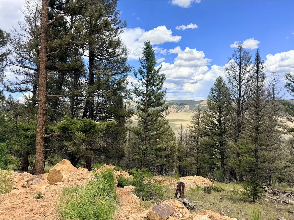 1396 Middle Fork, Fairplay, CO 80440 - #1