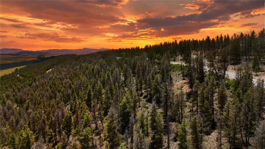 1396 Middle Fork, Fairplay, CO 80440 - #2