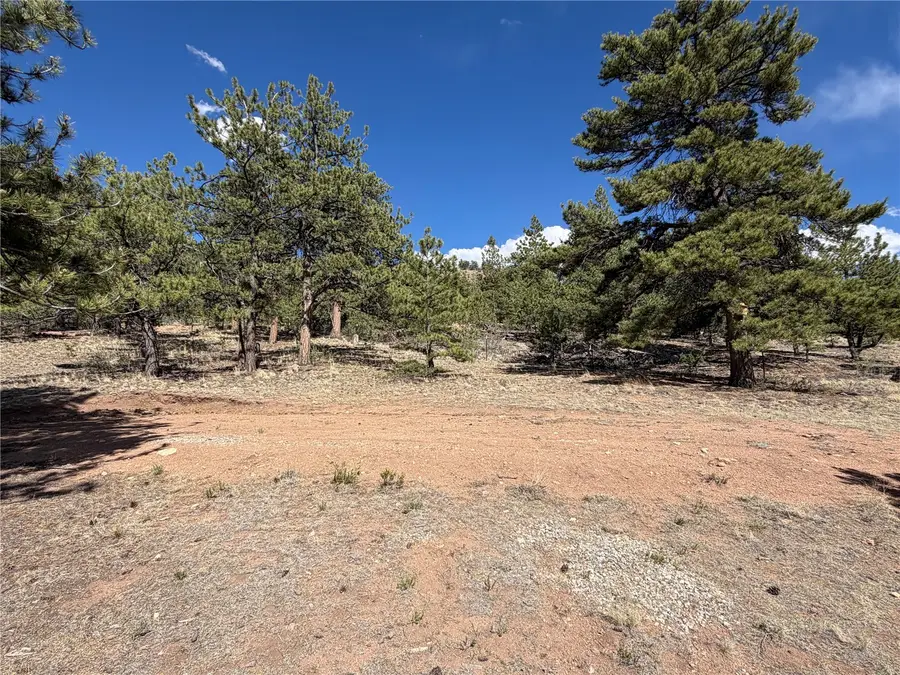 830 Cohonina Road, Hartsel, CO 80449 - #3