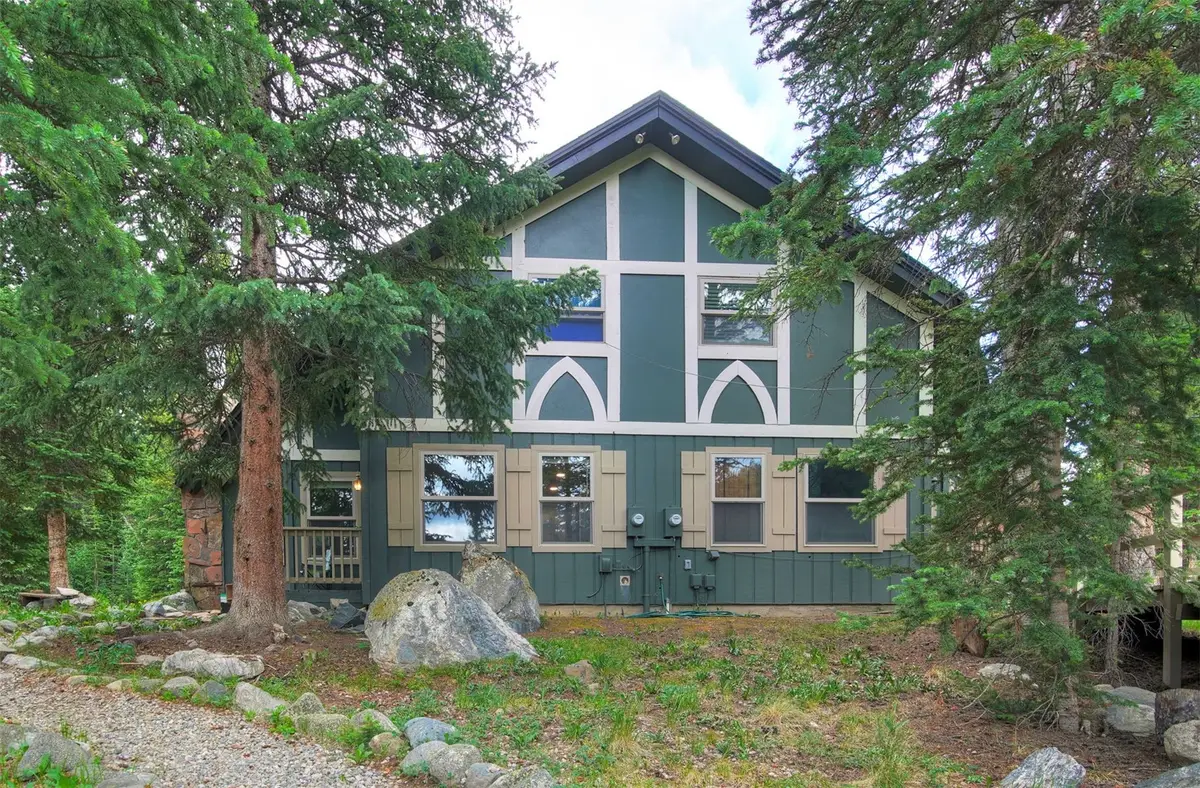 193 Range Rd, Breckenridge, CO 80424 - #1