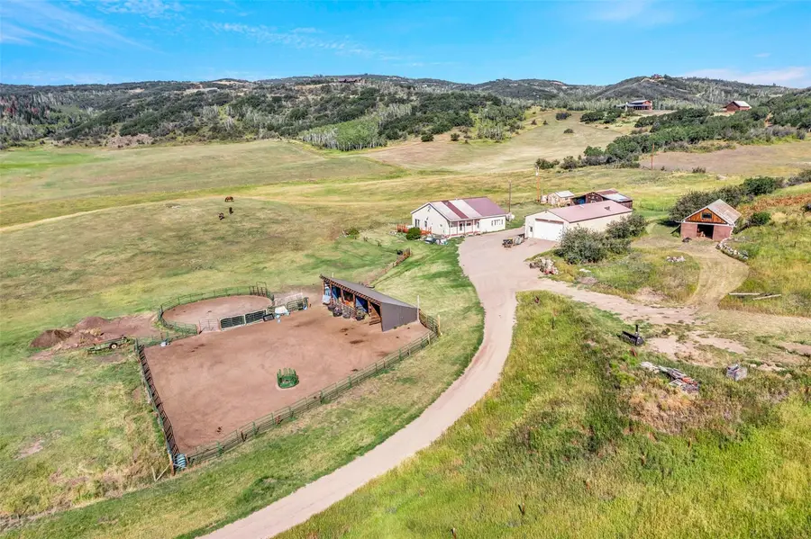 31575 Kestrel Lane, Steamboat Springs, CO 80487 - #2