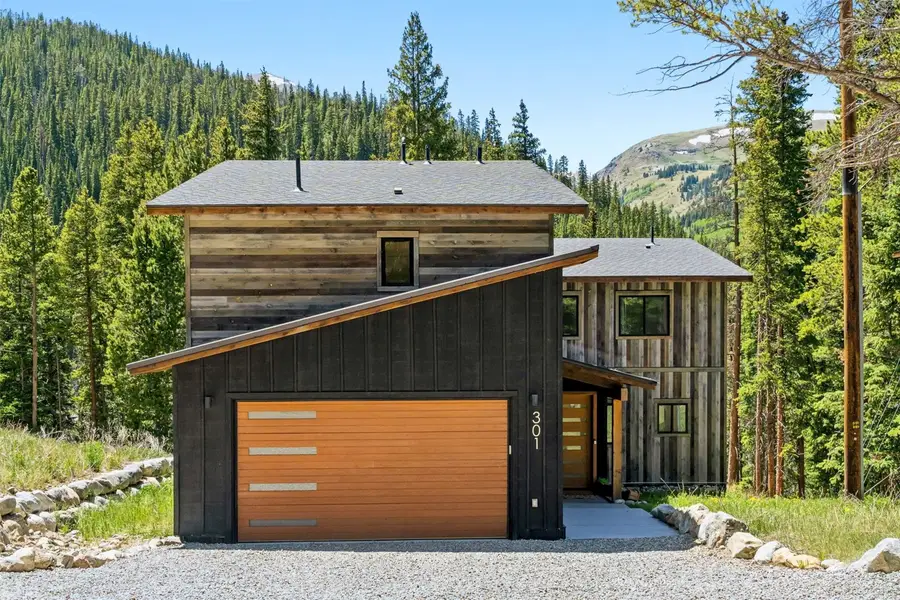 301 Quandary Road, Breckenridge, CO 80424 - #2