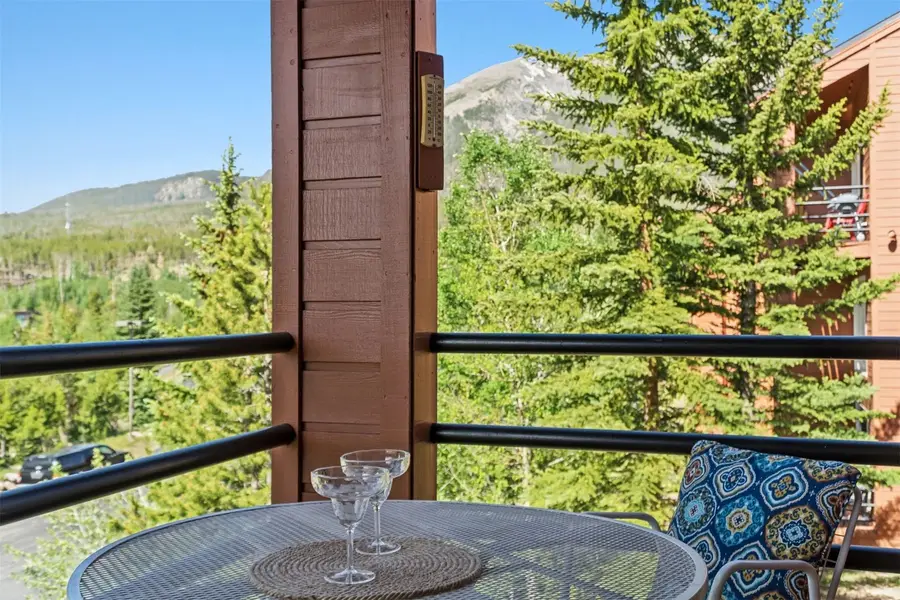 91200 Ryan Gulch Road #91227, Silverthorne, CO 80498 - #3