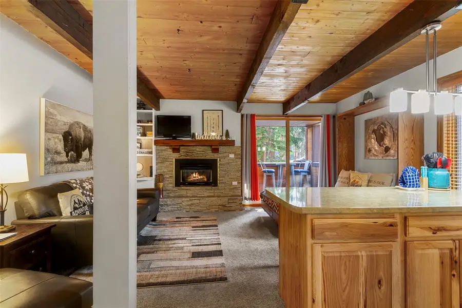 800 Columbine Road #3, Breckenridge, CO 80424 - #2