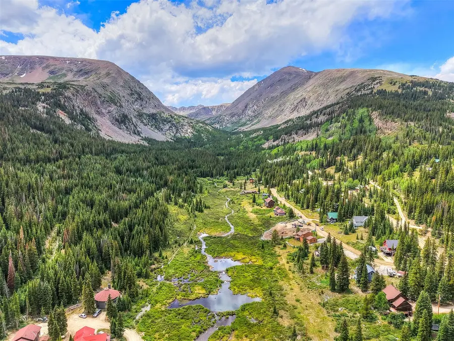 66 Mcdill Road, Breckenridge, CO 80424 - #3