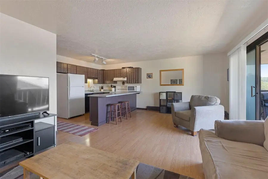 833 Straight Creek Drive #301, Dillon, CO 80435 - #3