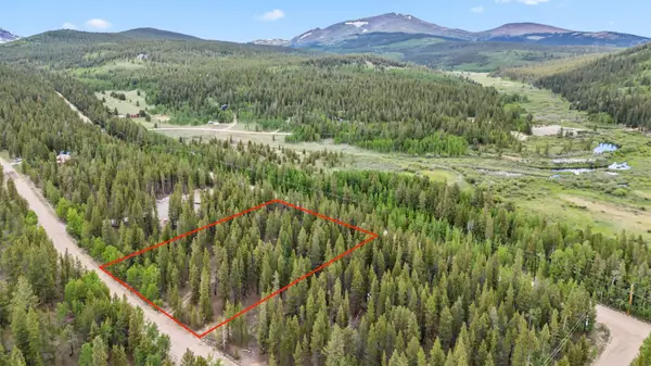 64 Ski Doo Lane, Fairplay, CO 80440