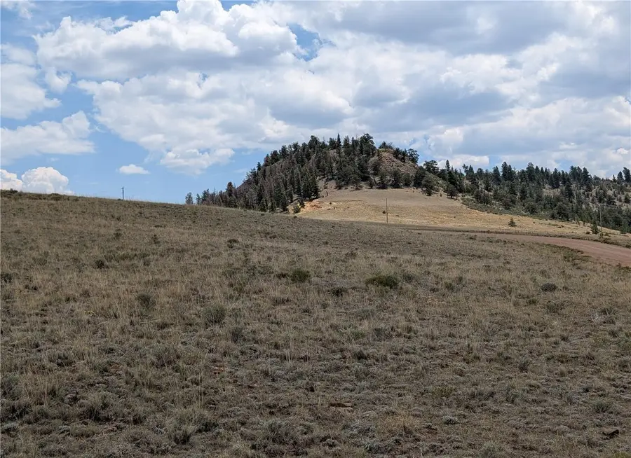0 Coyotero Trail, Hartsel, CO 80449 - #3