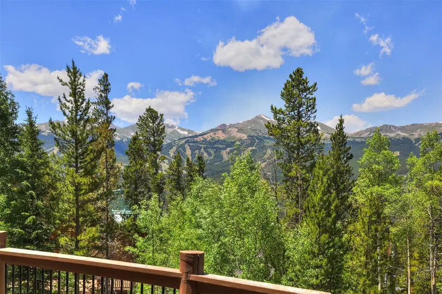 99 Bearing Tree Road, Breckenridge, CO 80424 - #2