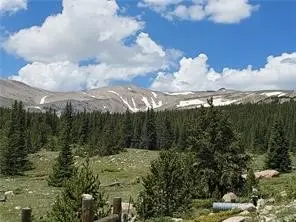86 Timberline Trail, Fairplay, CO 80440