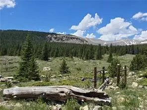 86 Timberline Trail, Fairplay, CO 80440 - #2