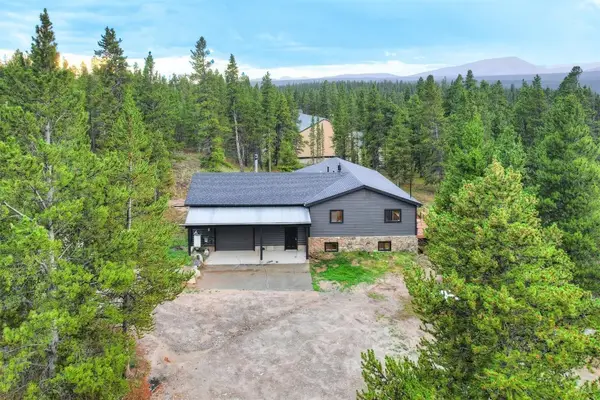 93 Prospect Drive, Alma, CO 80420