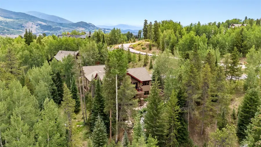 2050 Currant Way, Silverthorne, CO 80498 - #3
