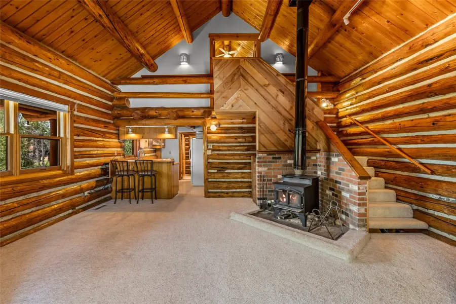 40546 Steamboat Drive, Steamboat Springs, CO 80487 - #3