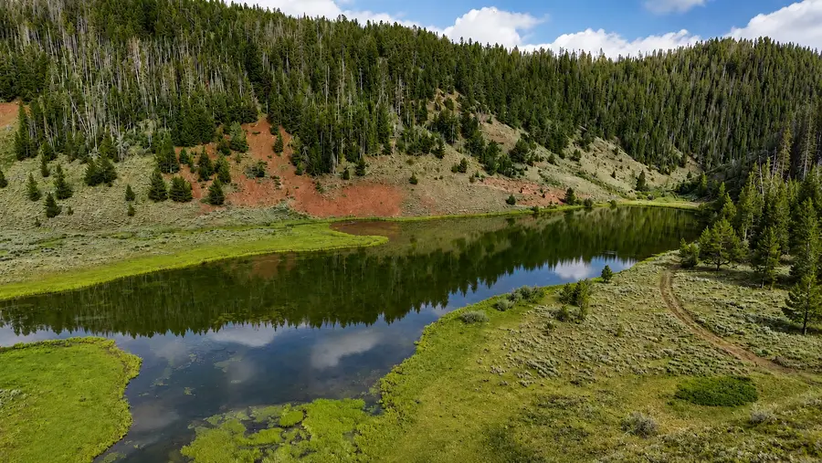 TBD County Road 225, Toponas, CO 80479 - #2