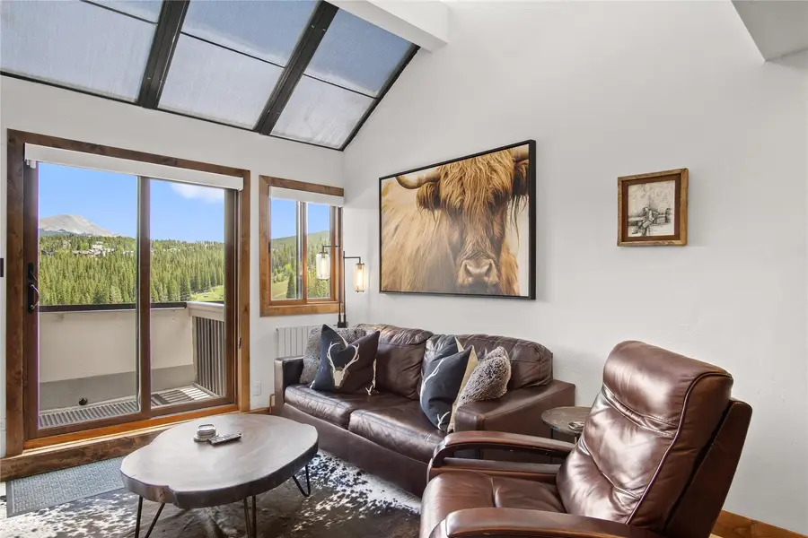 611 Village Road #28250, Breckenridge, CO 80424 - #2