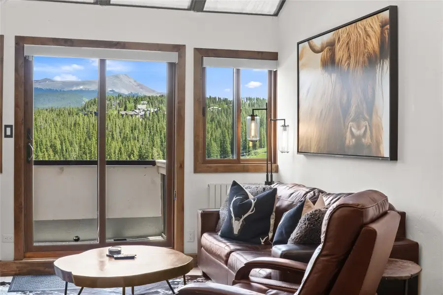 611 Village Road #28250, Breckenridge, CO 80424 - #3