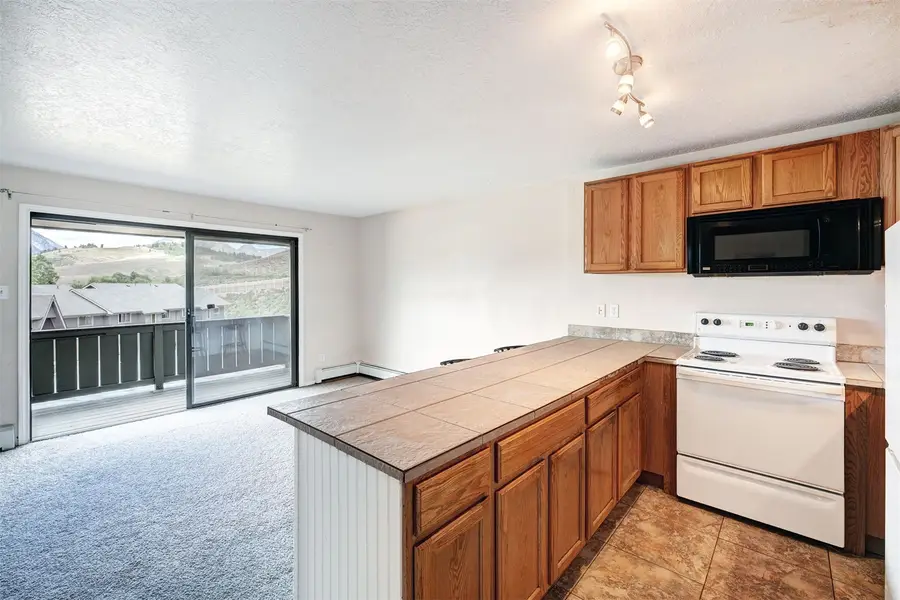 1173 Straight Creek Drive #304, Dillon, CO 80435 - #2