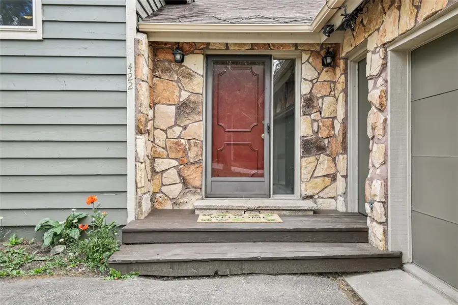 422 Alpine Road, Dillon, CO 80435 - #3