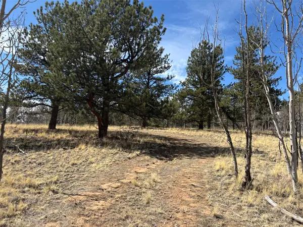 147 Bordenville Road, Jefferson, CO 80456