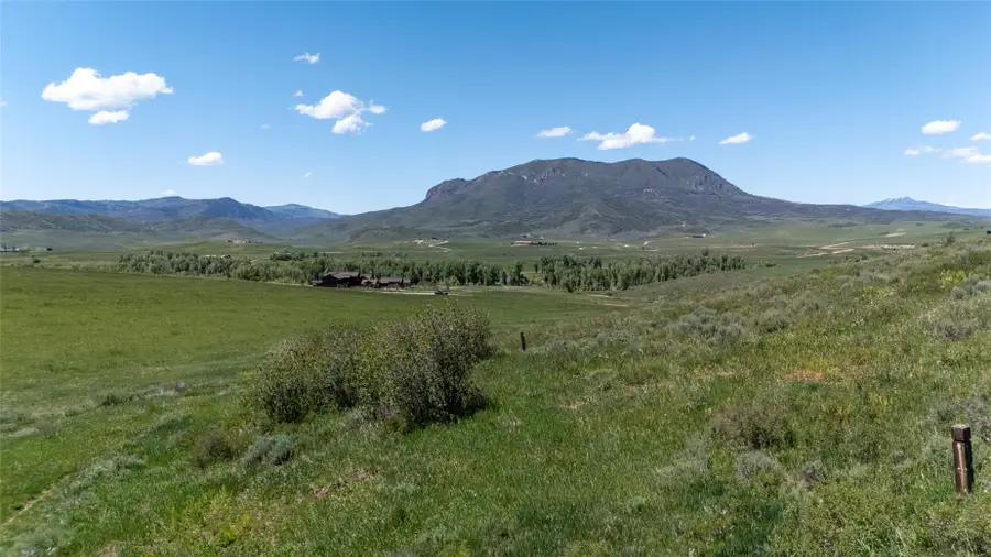 41700 Marabou Loop, Steamboat Springs, CO 80487 - #2