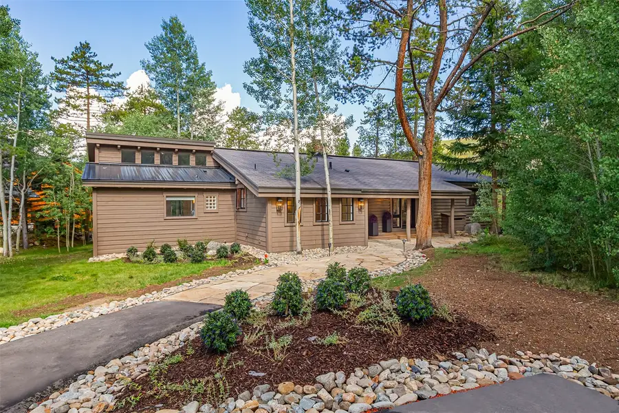 23 Wild Irishman Lane, Keystone, CO 80435 - #2