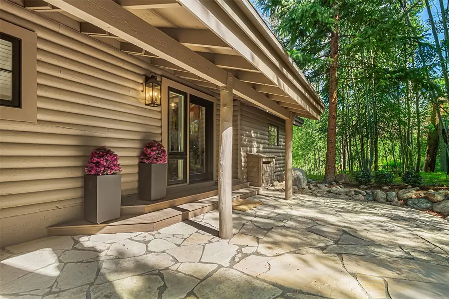 23 Wild Irishman Lane, Keystone, CO 80435 - #3