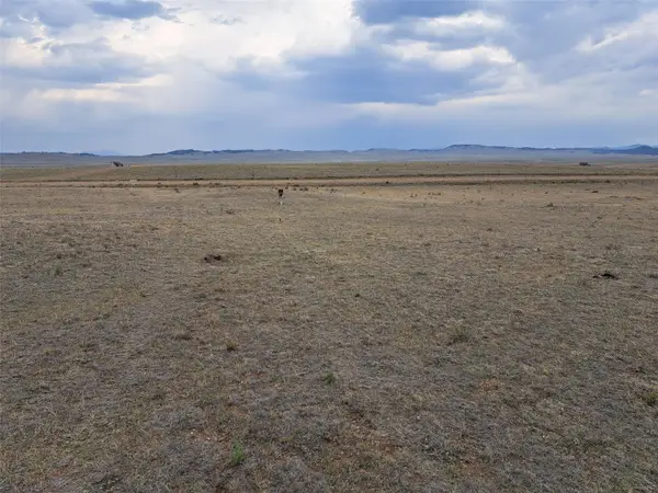 279 Sioux Road, Hartsel, CO 80449
