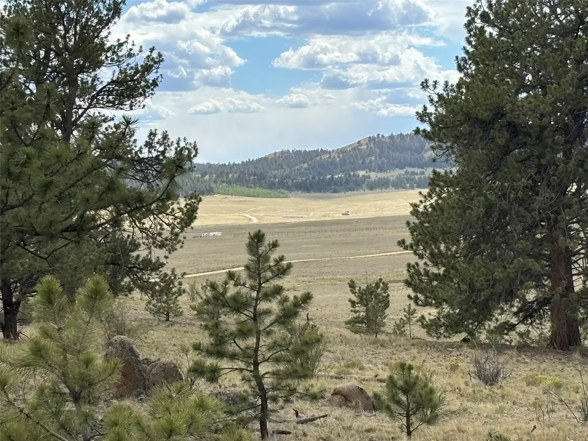 99 Arapaho Court, Hartsel, CO 80449 - #1