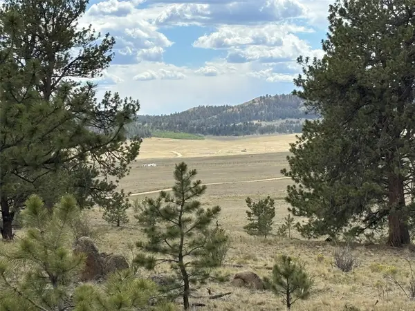99 Arapaho Court, Hartsel, CO 80449
