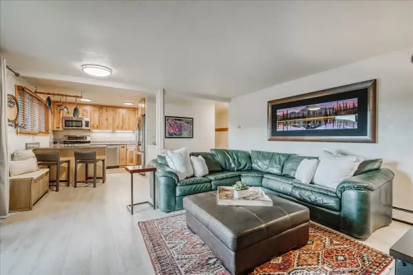 365 Salt Lick Circle #365, Silverthorne, CO 80498