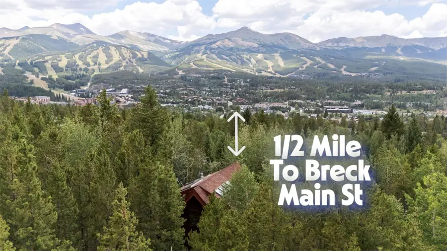 54 Ski Trail Circle, Breckenridge, CO 80424 - #2