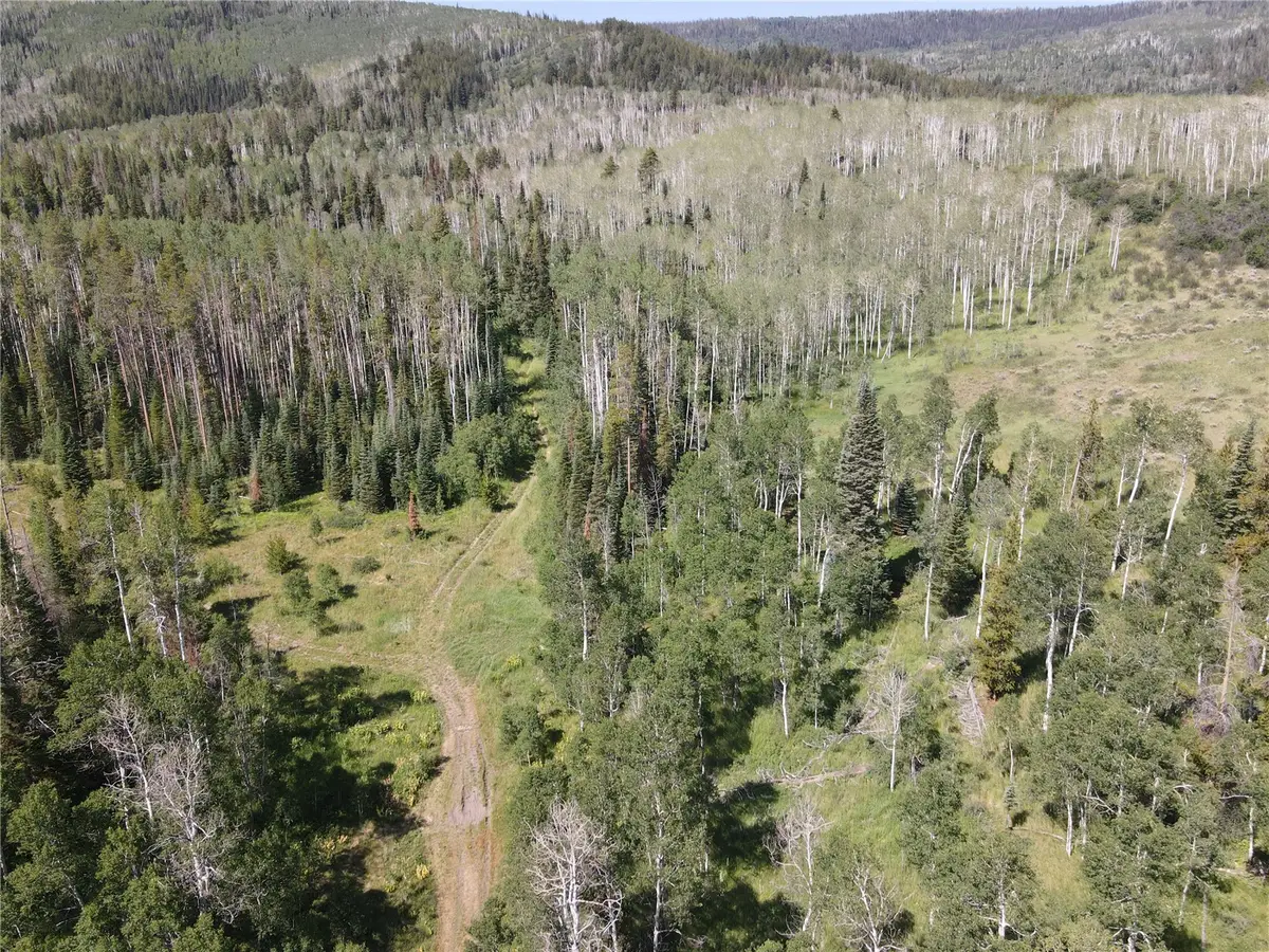 TBD Rowel Trail, Oak Creek, CO 80467 - #1