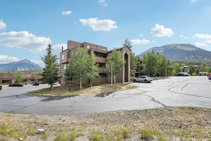 95600 Ryan Gulch Road #95623, Silverthorne, CO 80498 - #3