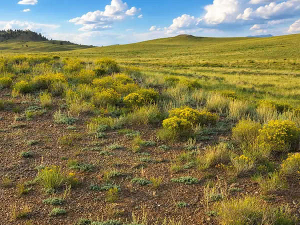 6298 Elkhorn Road, Hartsel, CO 80449