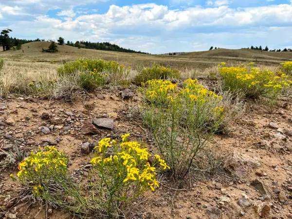 00000 Cherokee Trail, Hartsel, CO 80449