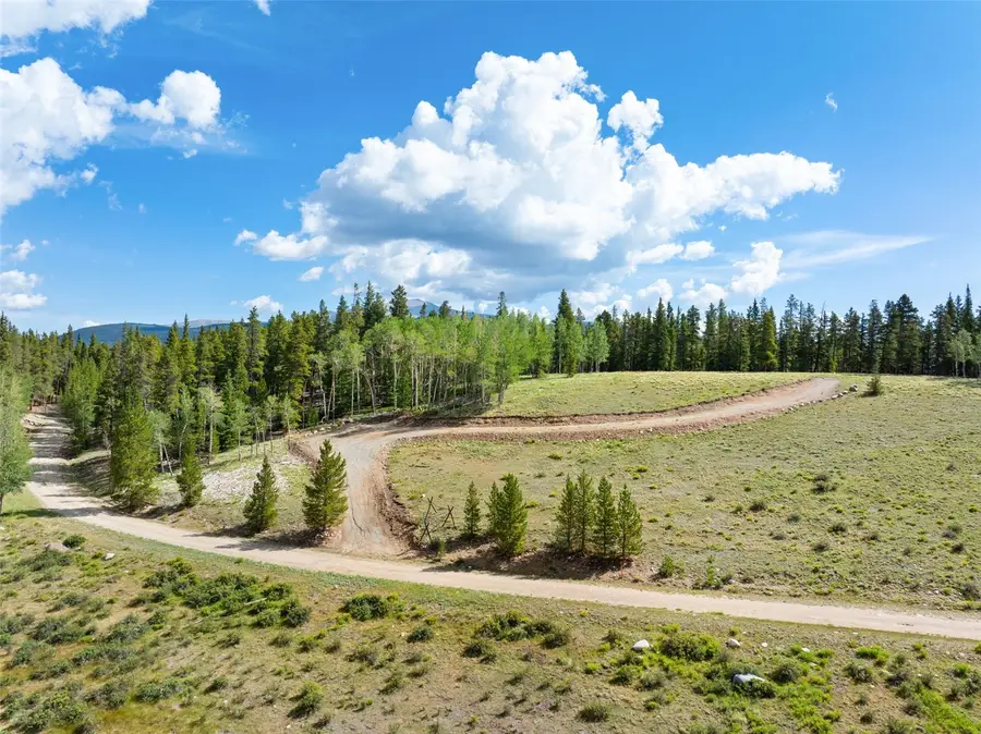422 Rollies Trail, Fairplay, CO 80440 - #3