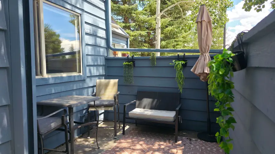 781 Rainbow Drive #781C, Silverthorne, CO 80498 - #3